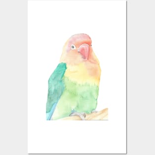 Lovebird watercolor portrait animal parakeet painting Posters and Art